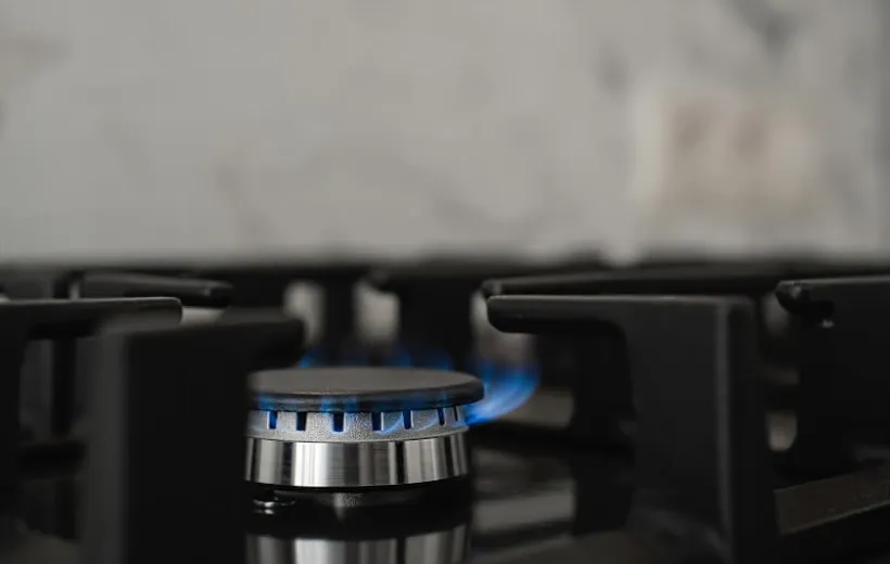 
            Accesorios y cocinas a gas
      